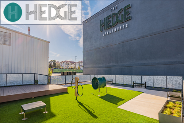 The Hedge 2